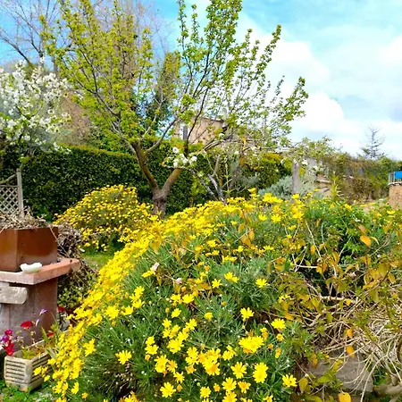 La Valle Dei Casali Com Bed & Breakfast Řím