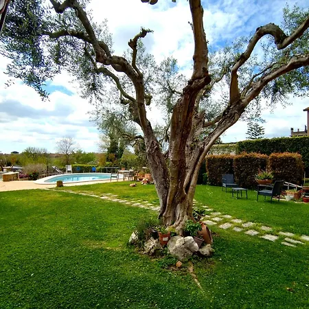 Bed & Breakfast La Valle Dei Casali Com Řím