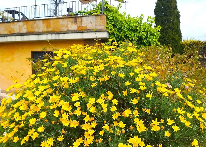 Bed & Breakfast La Valle Dei Casali Green Boutique