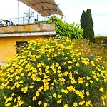 Bed & Breakfast La Valle Dei Casali Boutique
