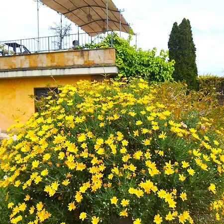 Frühstückspension La Valle Dei Casali Com
